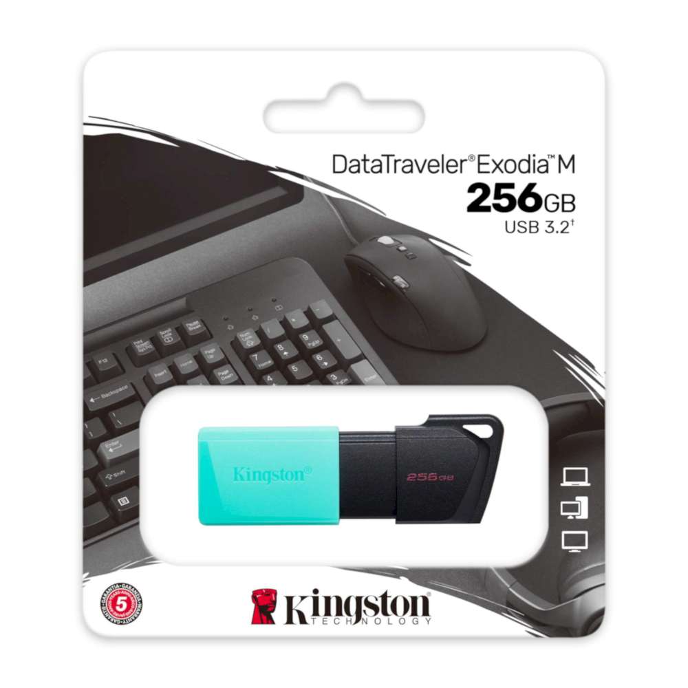 MEMORY FLASH KINGSTON 256 GB USB 3.2 DATA TRAVELER EXODIA 