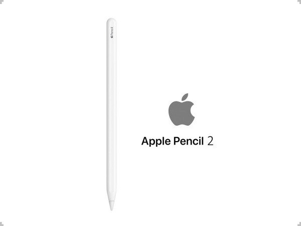 LAPIZ OPTICO APPLE PENCIL 2 AAA